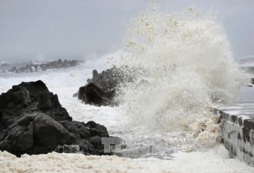 Từ Quảng Ninh đến Quảng Trị chủ động ứng phó với áp thấp nhiệt đới